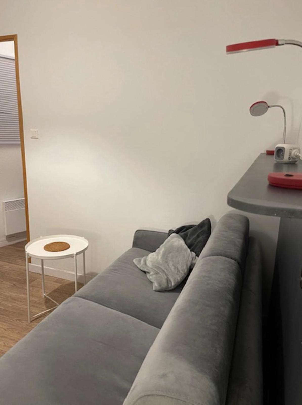 Cosy Studio 16M2 Lyon Buitenkant foto